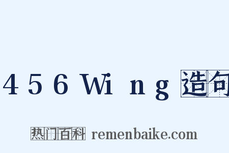 456Wing造句是什么意思的图片